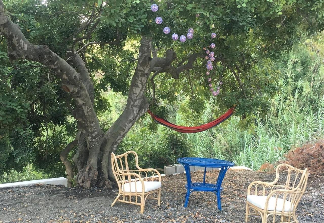 Villa Algarrobo Azul Almuñécar Esterno foto